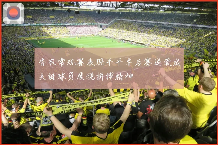香农常规赛表现平平季后赛逆袭成关键球员展现拼搏精神