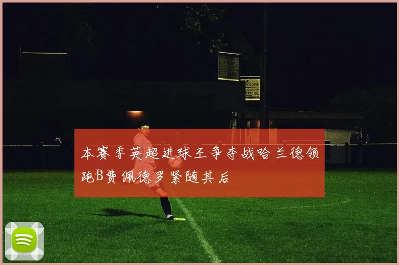 本赛季英超进球王争夺战哈兰德领跑B费佩德罗紧随其后
